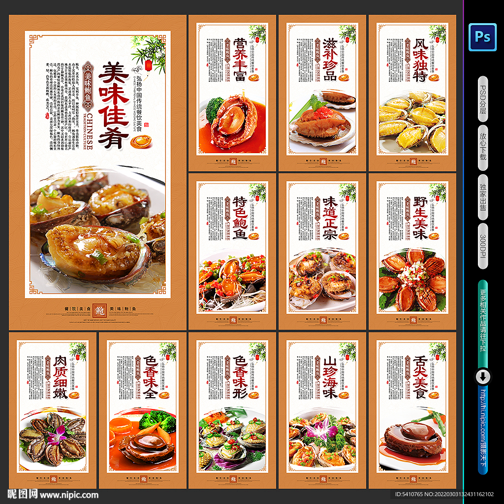 鲍鱼