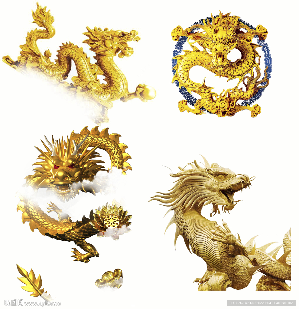 金龙