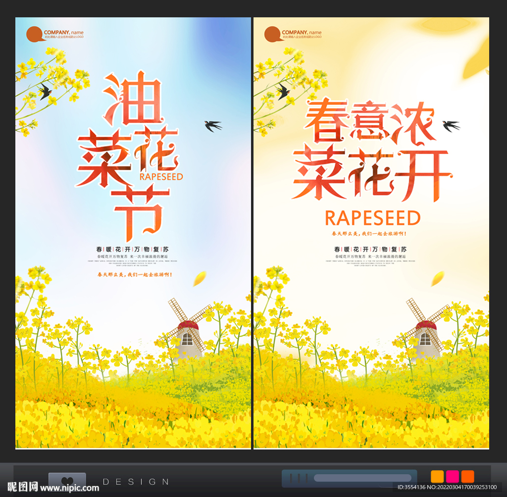 油菜花
