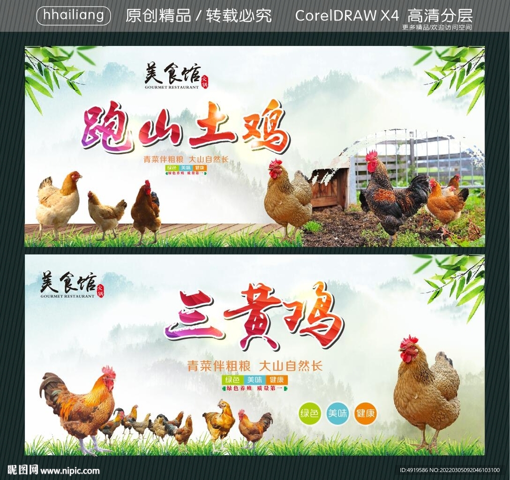 跑山土鸡 三黄鸡