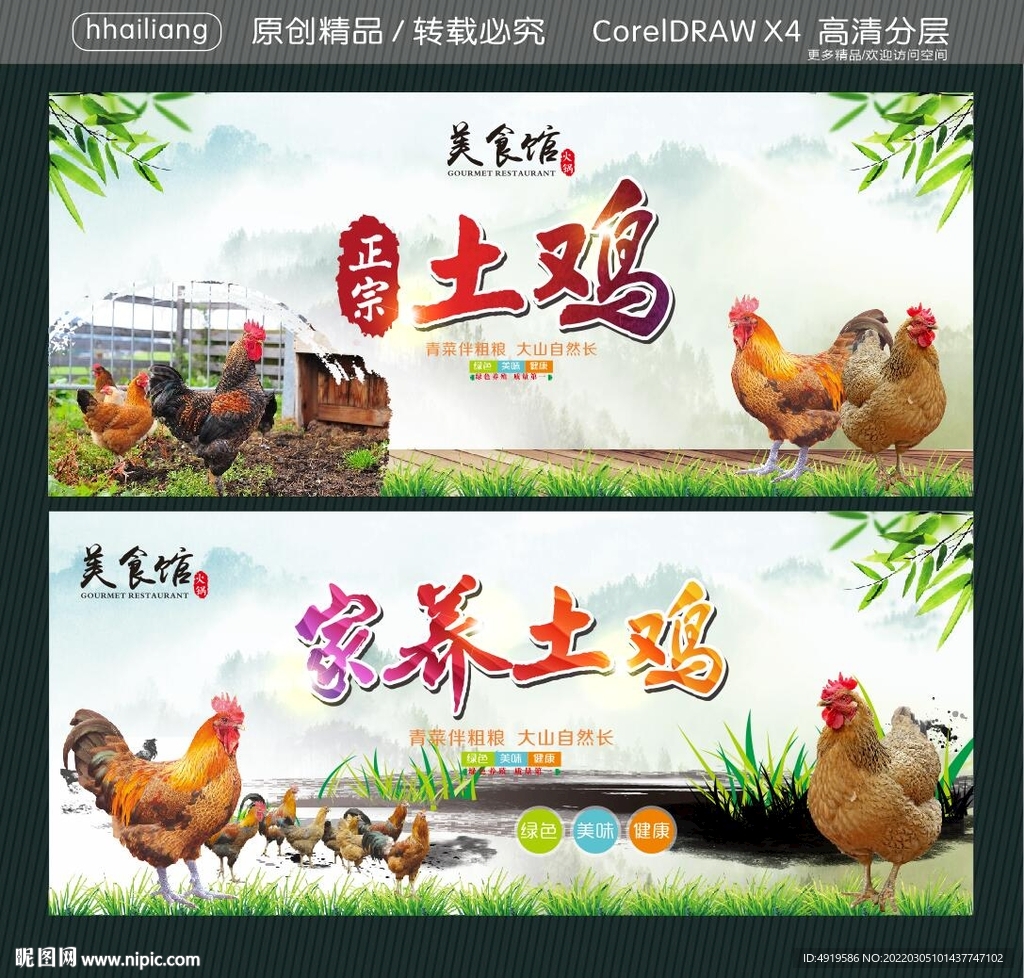 正宗土鸡 家养土鸡