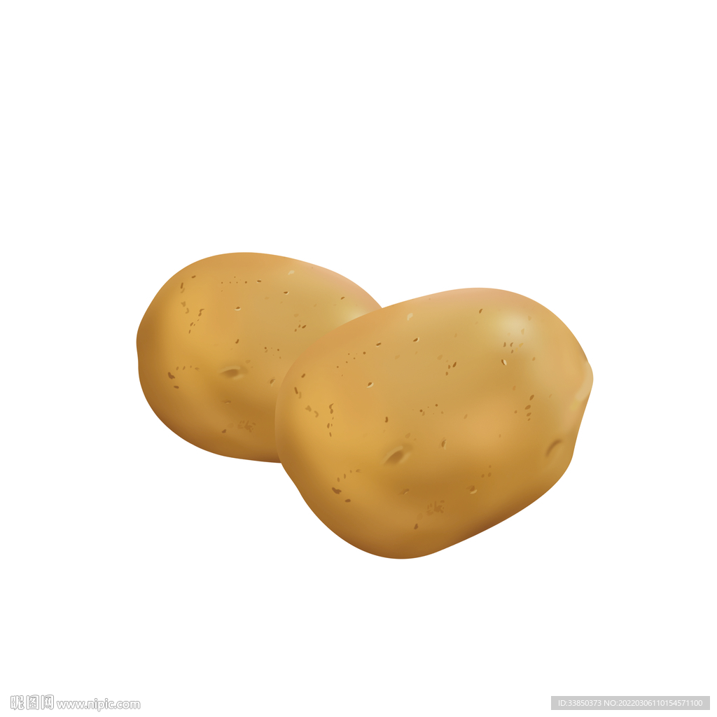 白底蔬菜土豆马铃薯两个土豆图片下载 - 觅知网