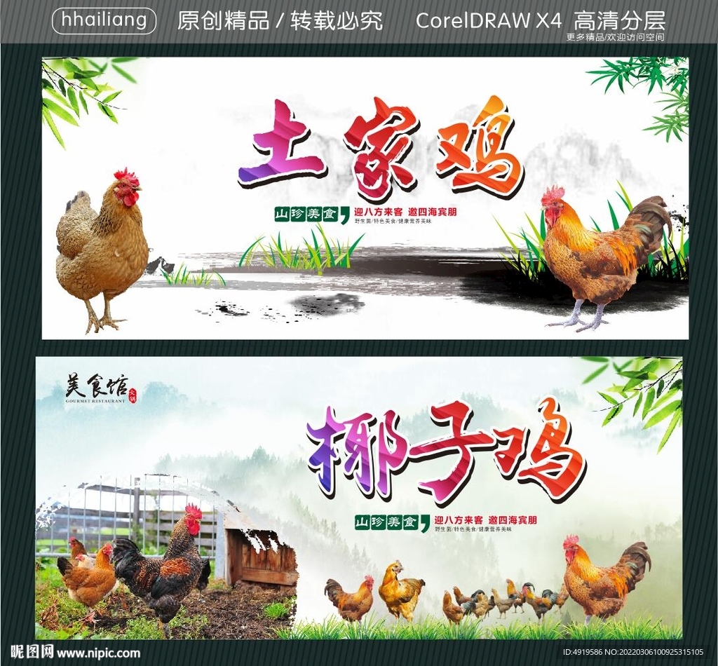 土家鸡 椰子鸡