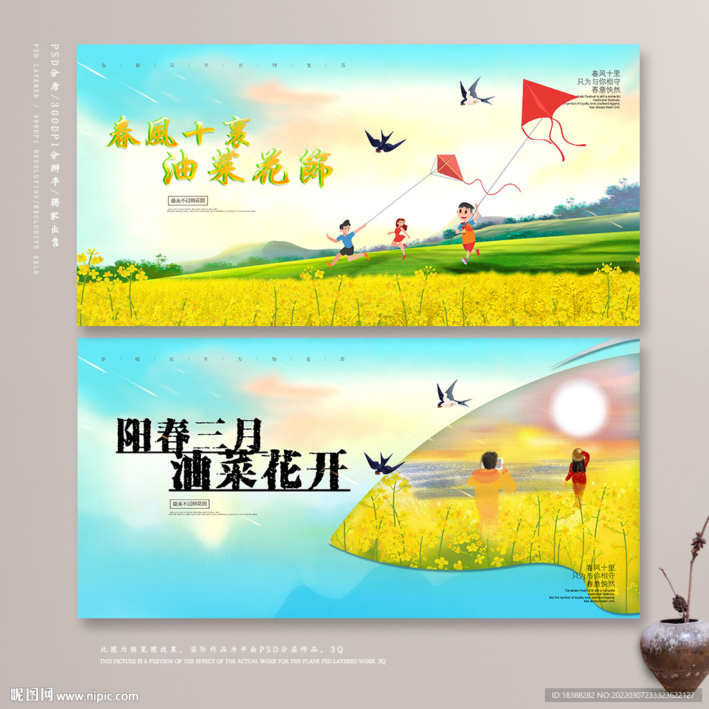 油菜花