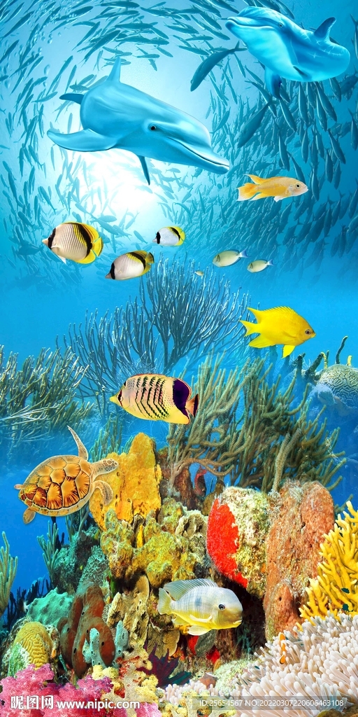 3D海豚玄关