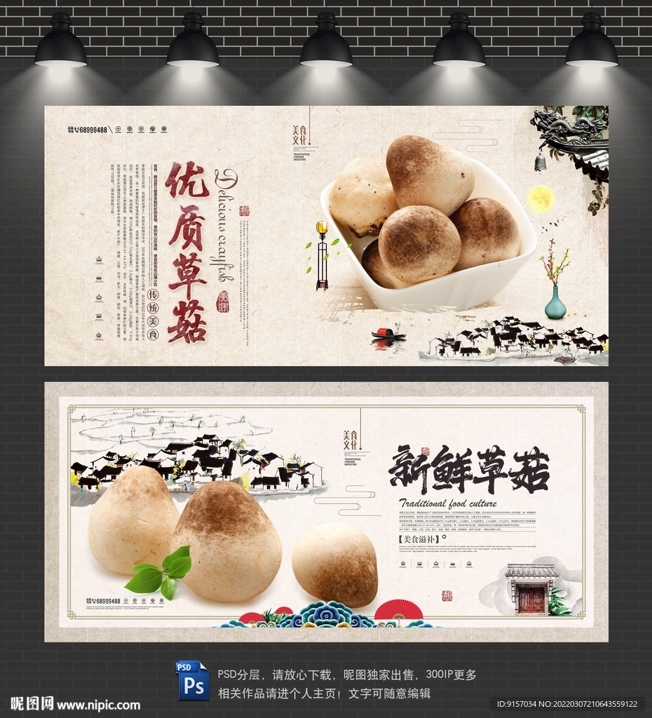 草菇