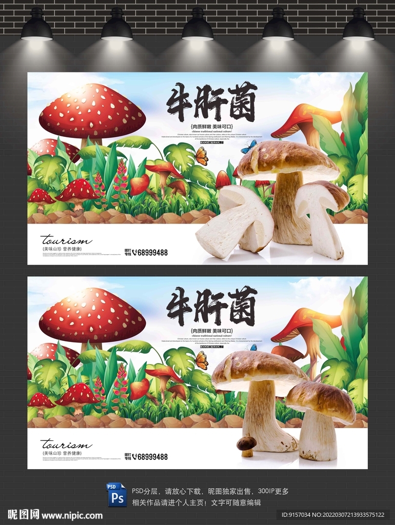 牛肝菌