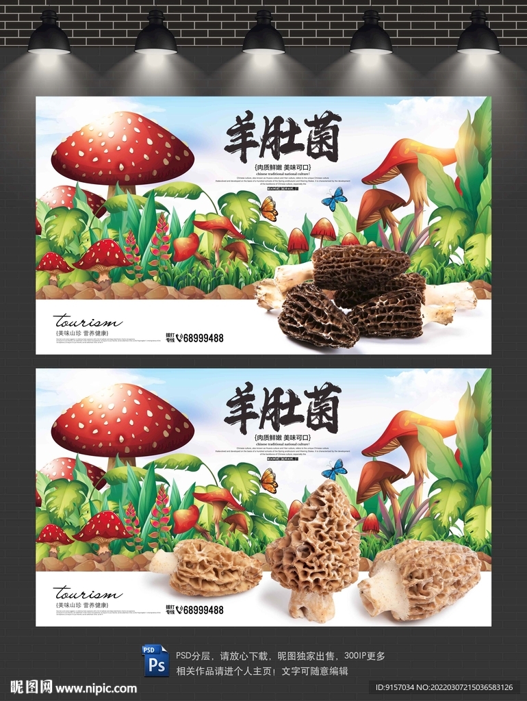 羊肚菌