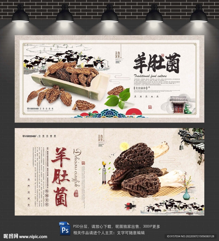 羊肚菌