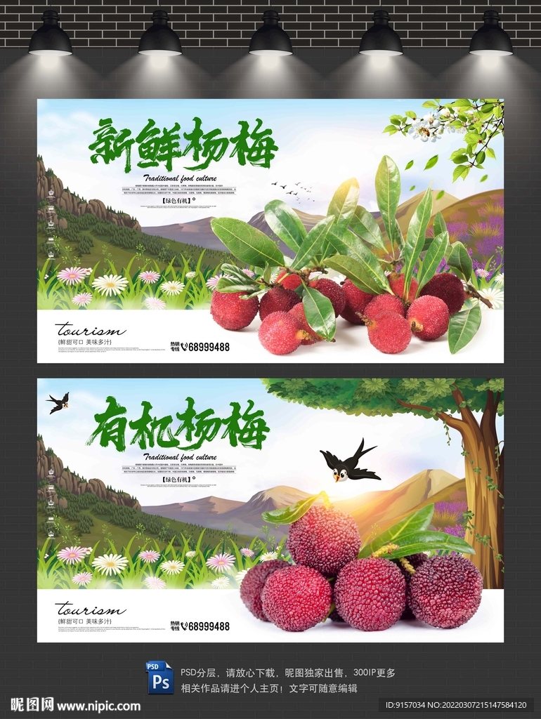 杨梅