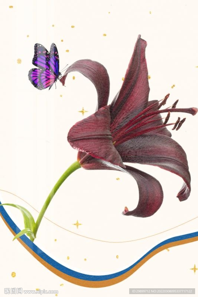 百合花