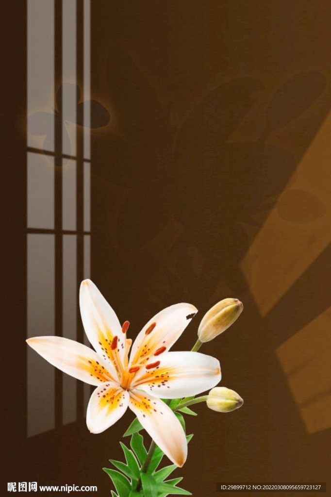 百合花