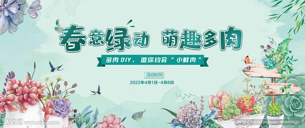 春季多肉活动