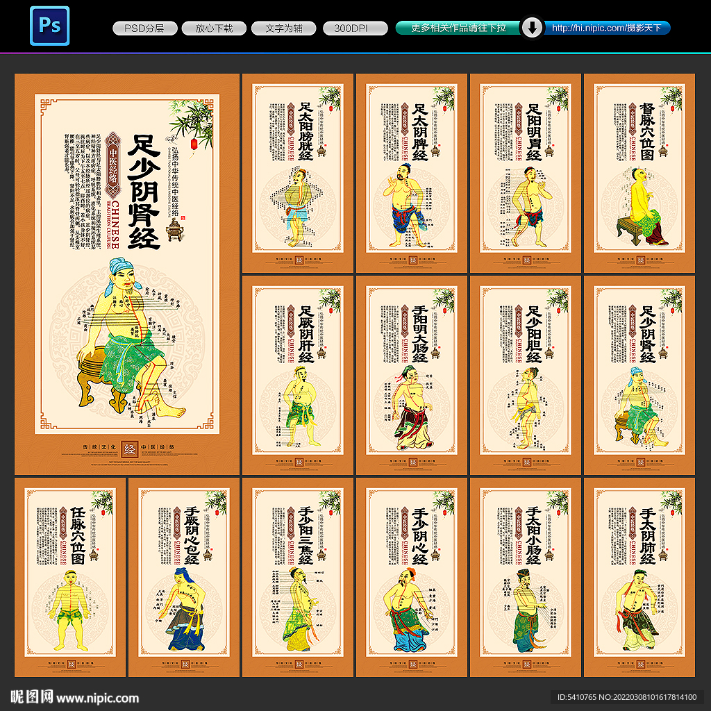 穴位图