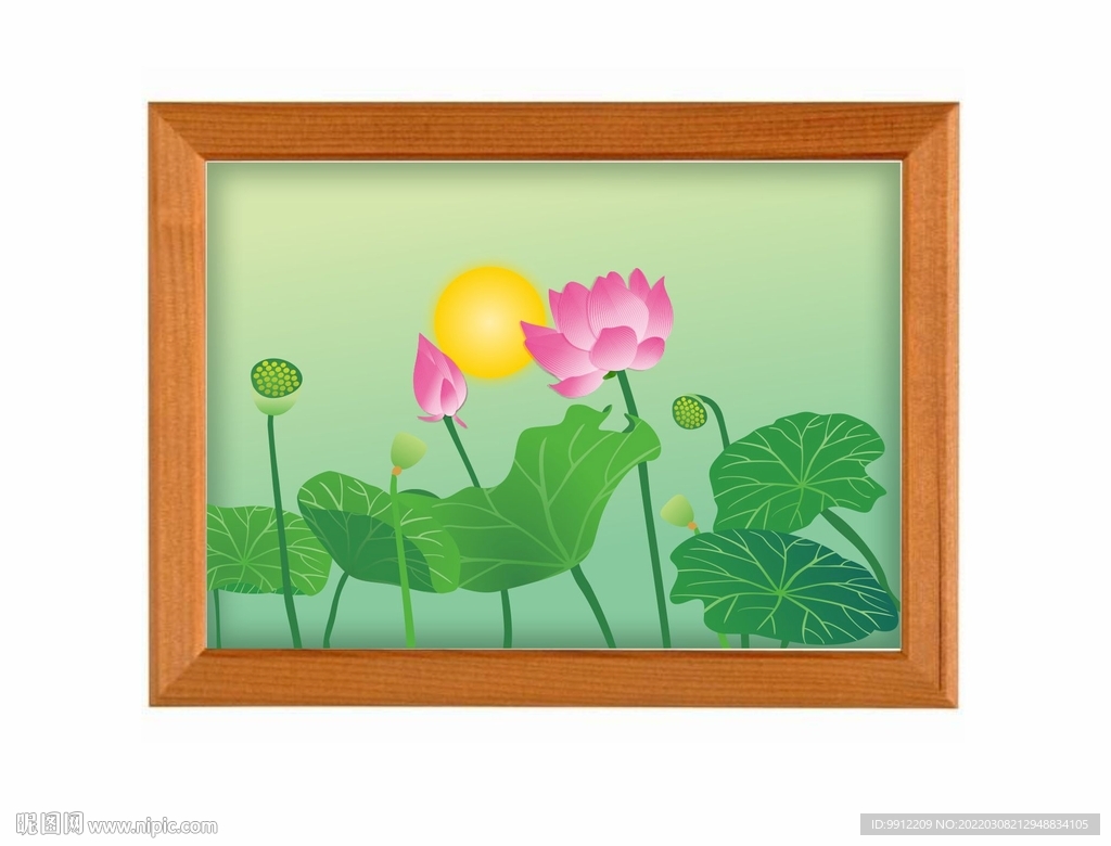 夏日荷花矢量插画图