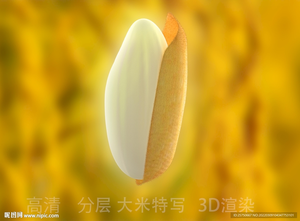 大米特写
