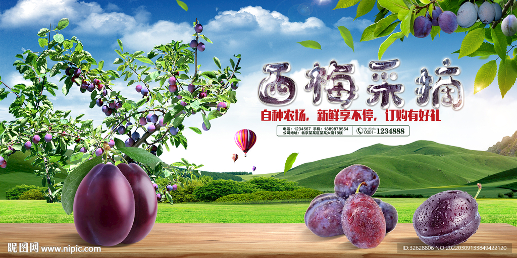 西梅海报