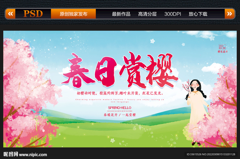 春日赏樱 樱花