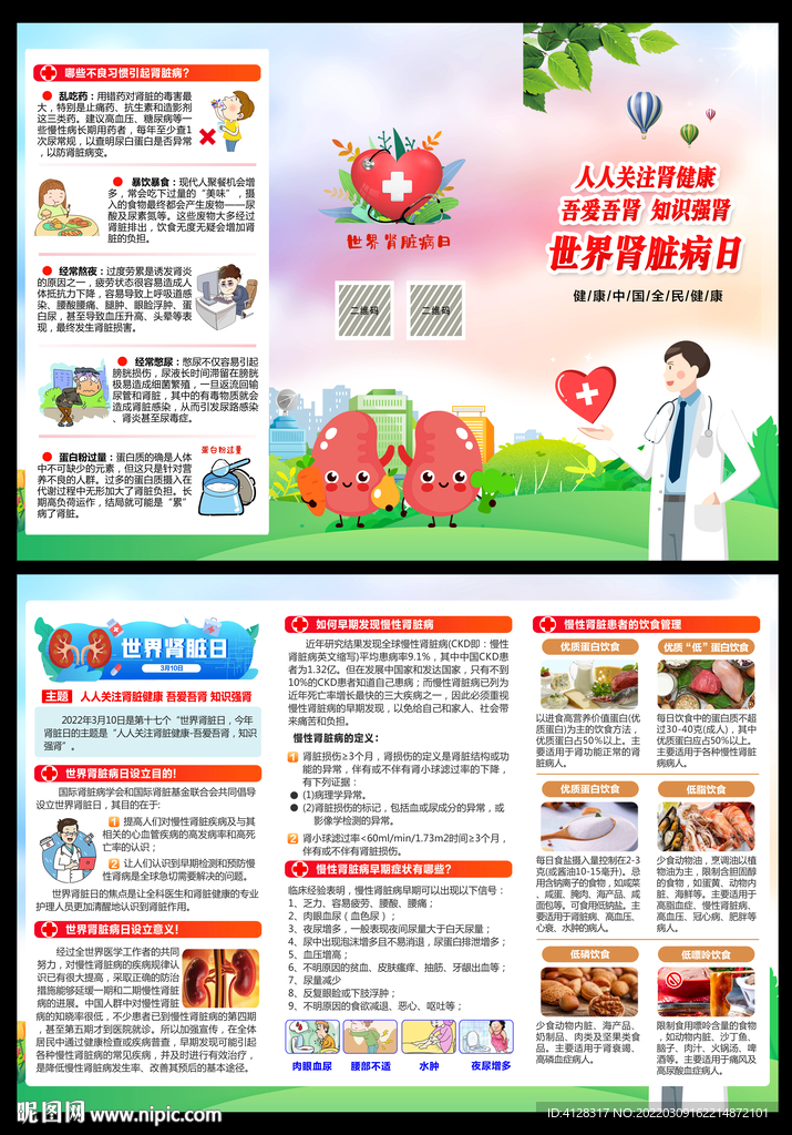 2022世界肾脏病日三折页