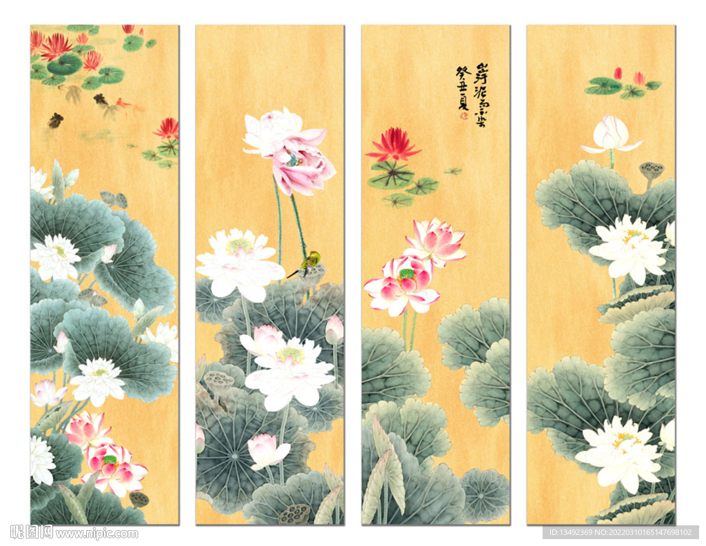 国画荷花 