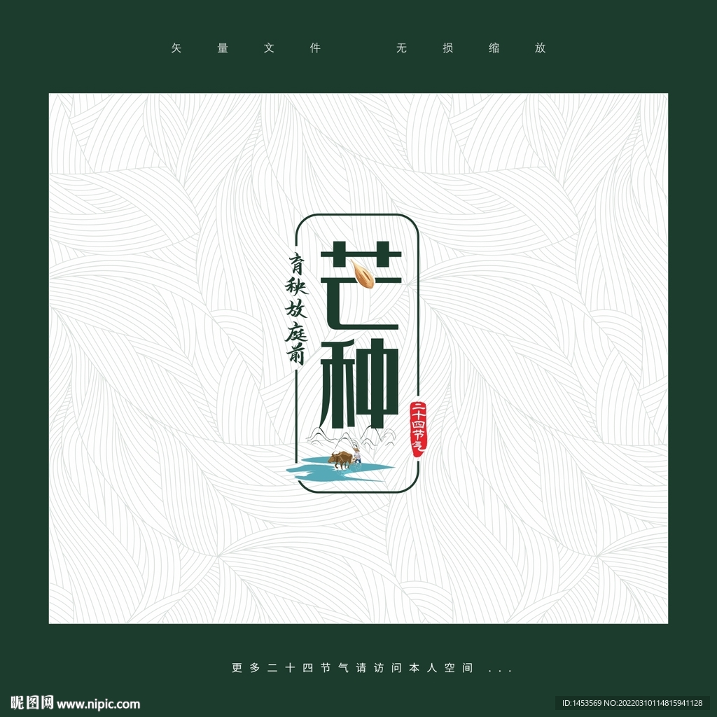 芒种