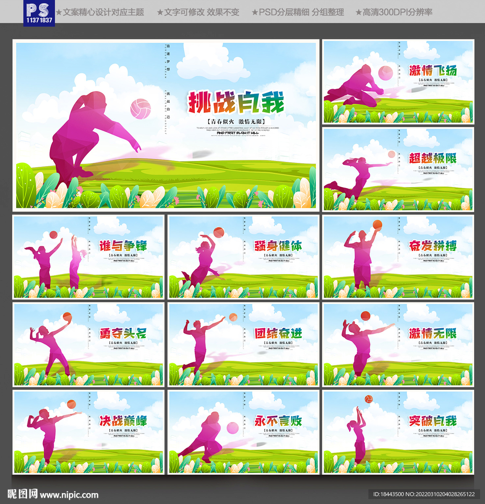 排球