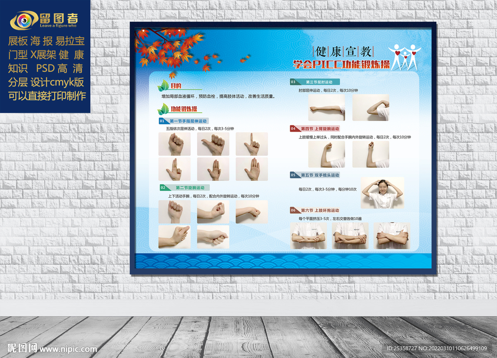 学会PICC功能锻炼操