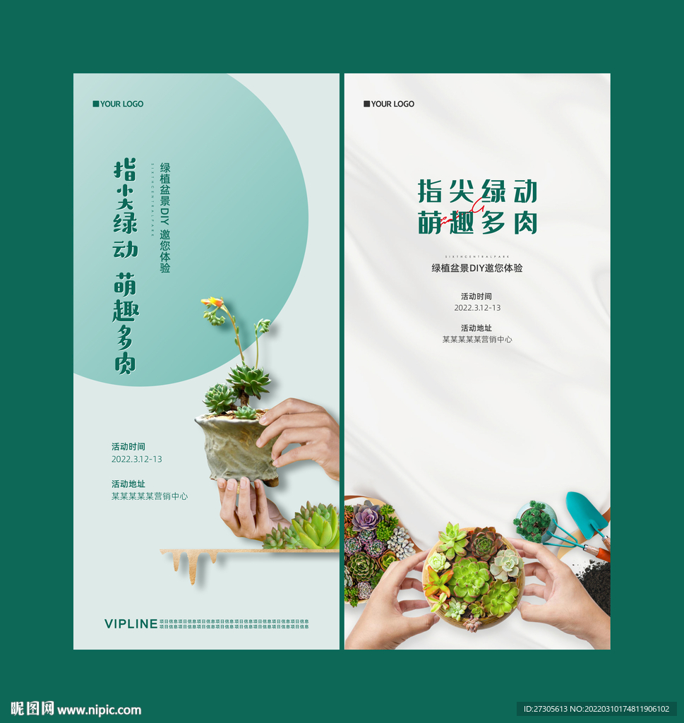 多肉 绿植 DIY