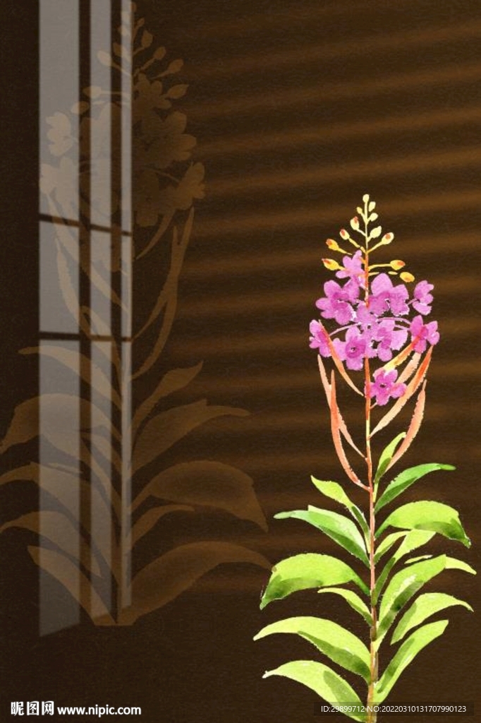 紫色花卉