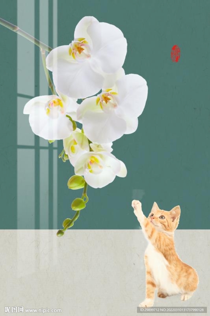 猫咪花朵