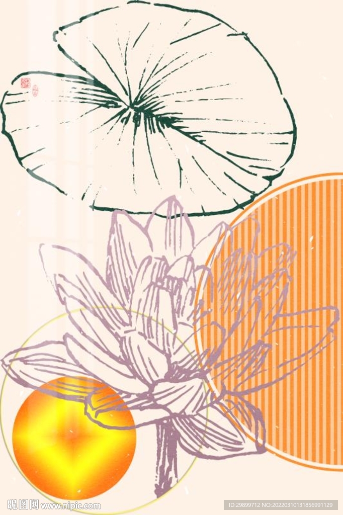 荷花