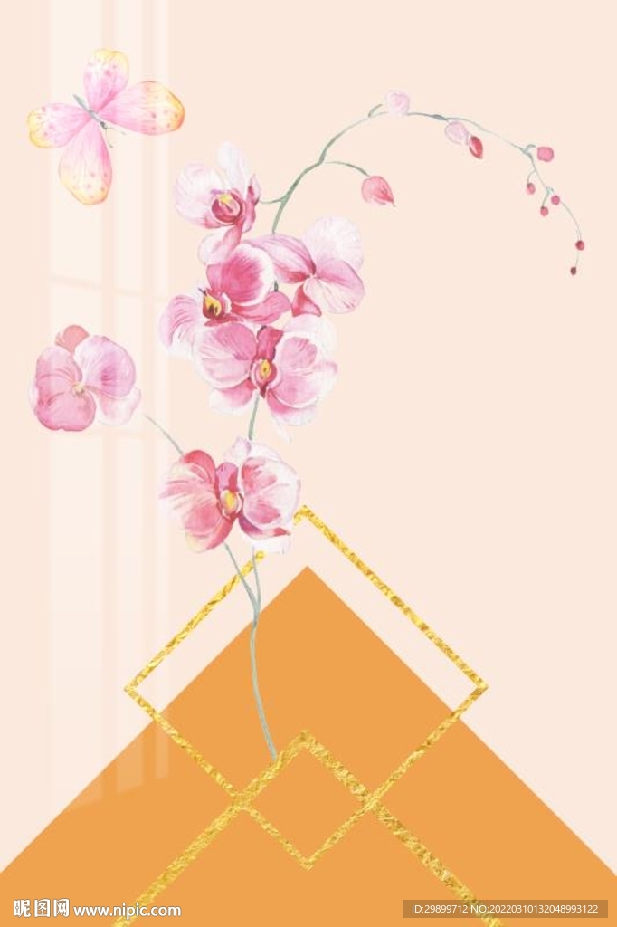 蝴蝶兰