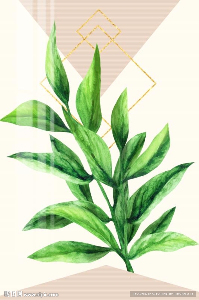 植物叶子