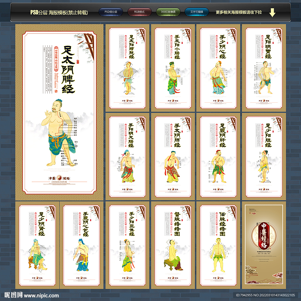 中医经络