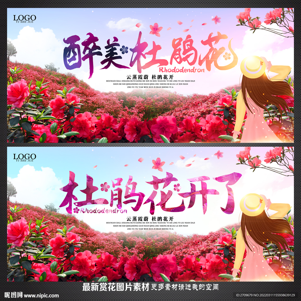 杜鹃花