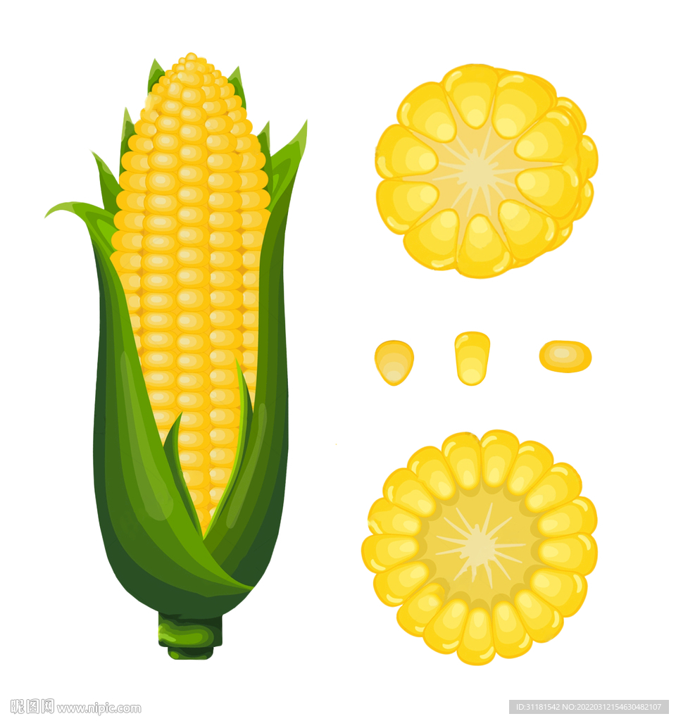 黄色玉米苞米