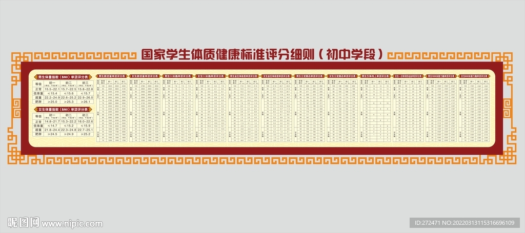 学生体质健康标准评分细则