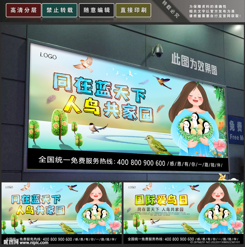 爱鸟日