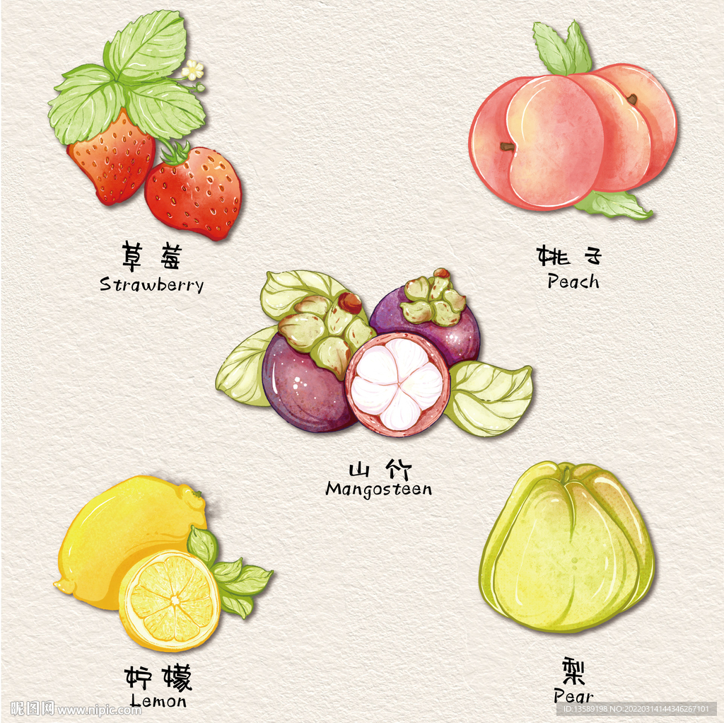 水彩插画水果