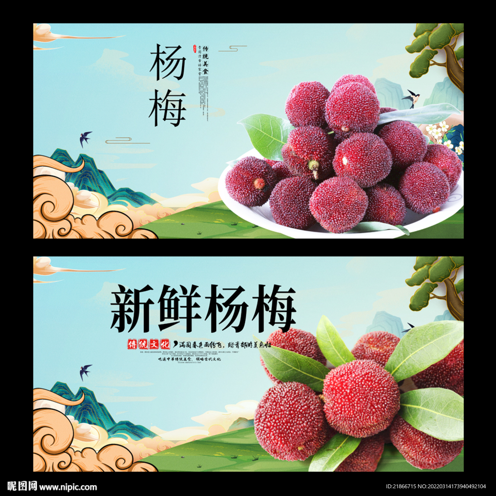 杨梅