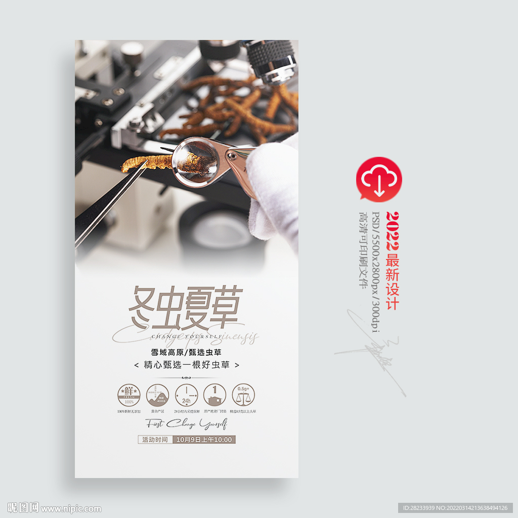 冬虫夏草