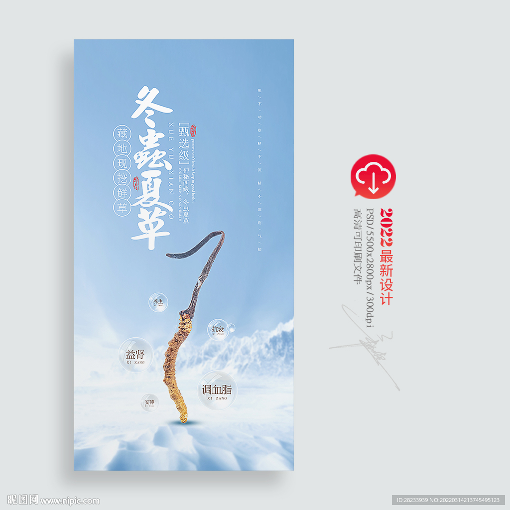 冬虫夏草