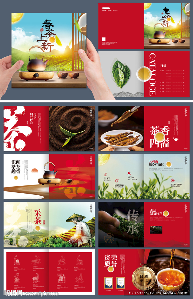 茶叶招商宣传画册