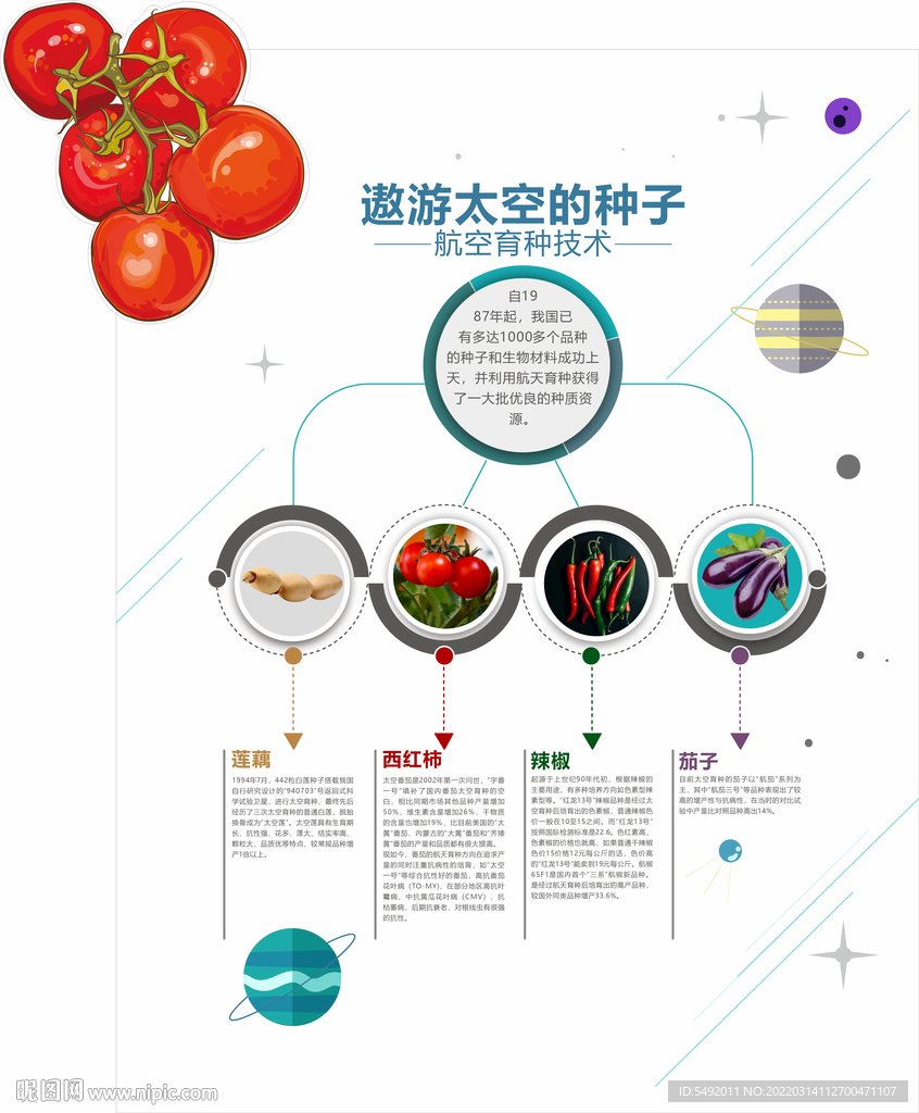 奇妙的种子