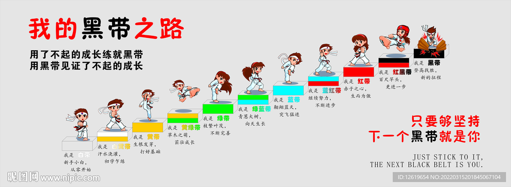 我的黑带之路