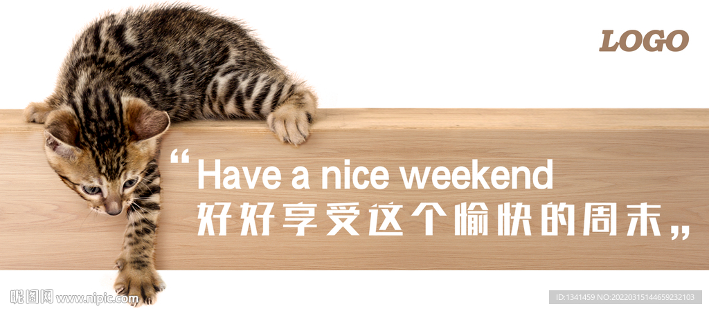 猫咪Banner海报