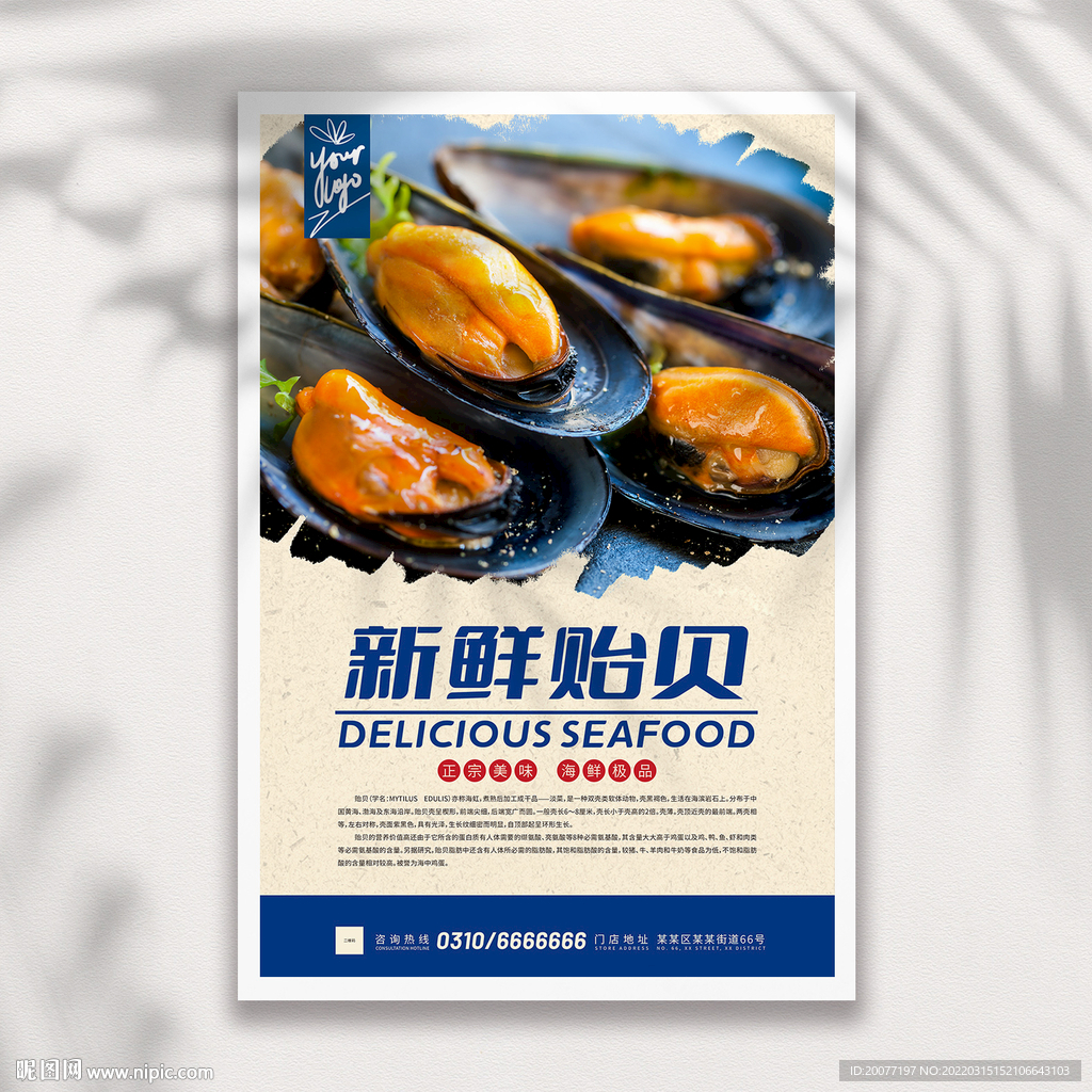 贻贝海报