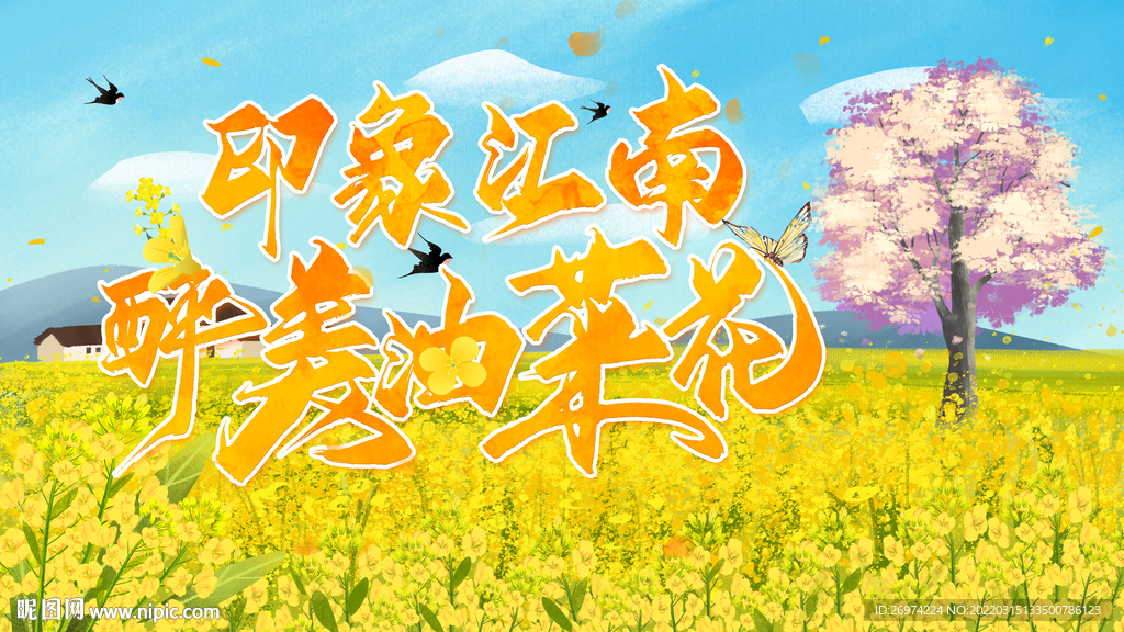油菜花