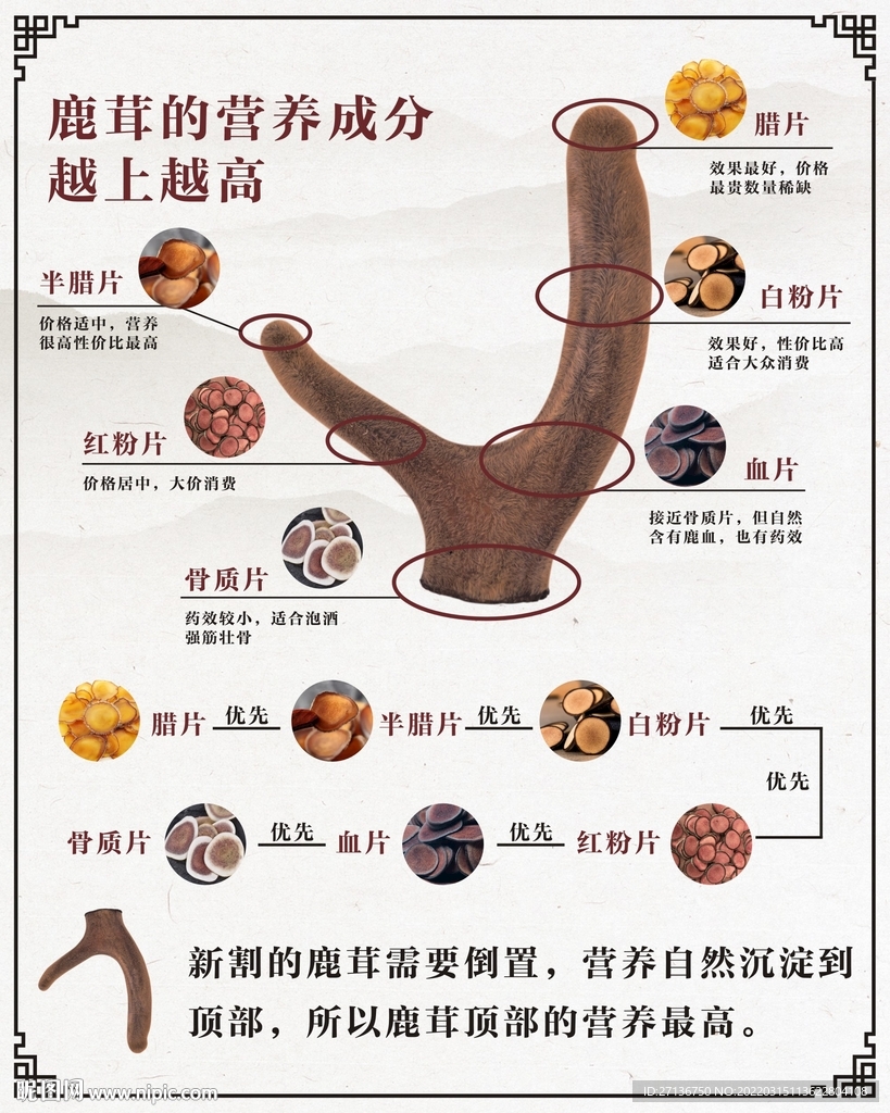 鹿茸