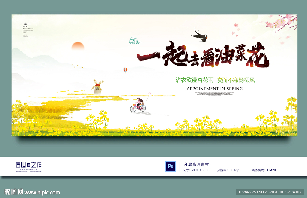油菜花